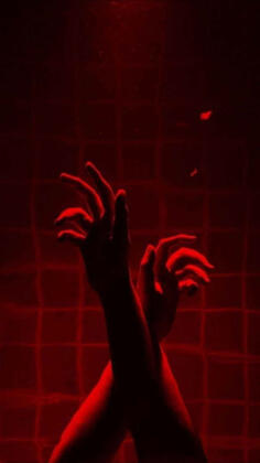 interests &amp; hobbies